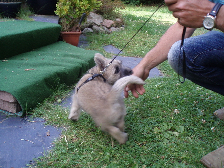 a_Alvin_vor_dem_Ausgang_01