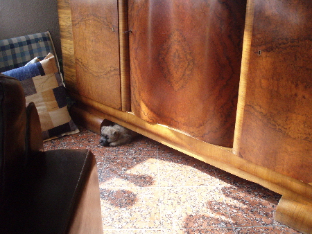 a_August_im_Haus_01