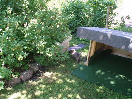 a_Garten_A_02