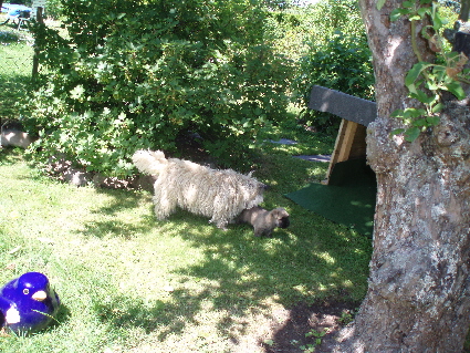 a_Garten_A_03