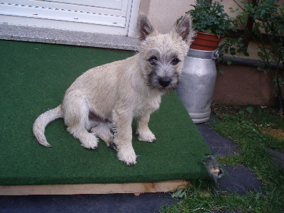 Alvin 02