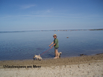 Drei am Meer 01