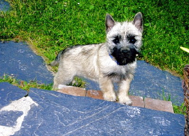 Emmi Baby vor der Terrasse