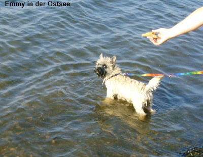 Emmi im Meer