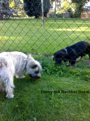 Emmi und Bossi