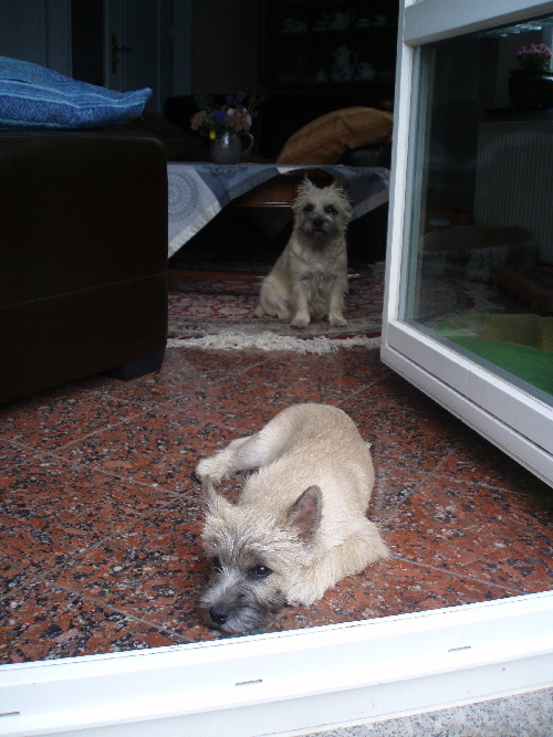 Emmy und August 03