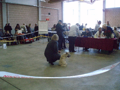 Im Ring 01