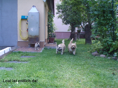 Loui endlich da 01