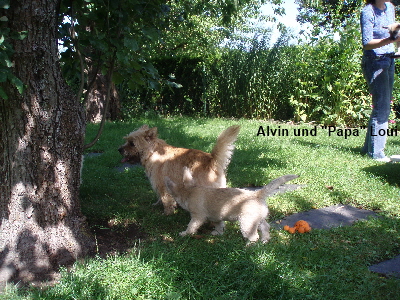 Loui und Alvin zB