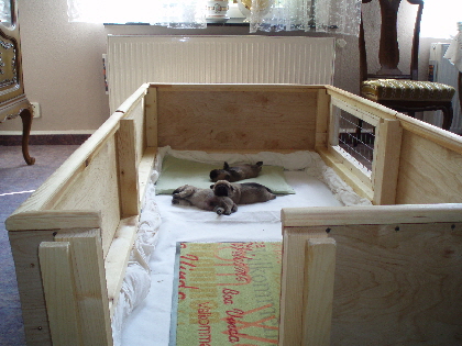 P1150248